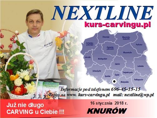 kurs_carvingu_polska kurs_carvingu_polska