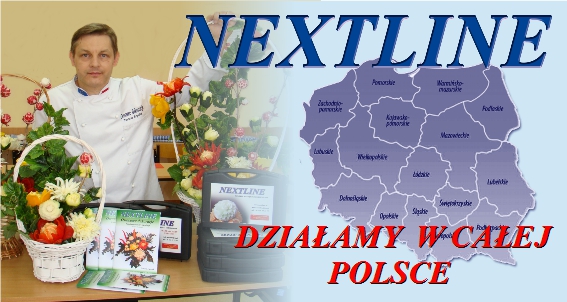 kurs carvingu nextline_Tomasz Szpalek