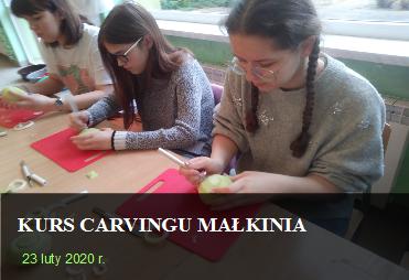 kurscarvingu dłuta i zestawy do carvingu